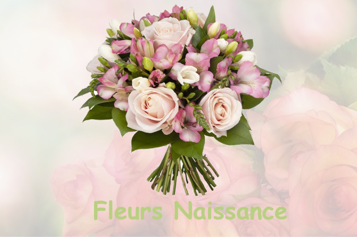 fleurs naissance CHAMBLAY